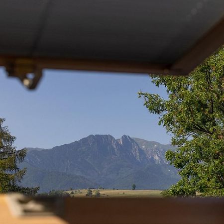 Apartamenty U Anusia Zakopane Dış mekan fotoğraf